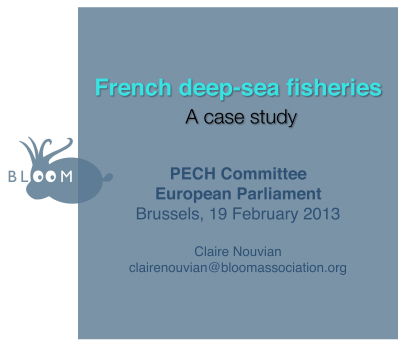 Audition sur la pêche profonde au Parlement européen