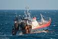 Inédit : la flotte de pêche d’Intermarché sous perfusion des aides publiques