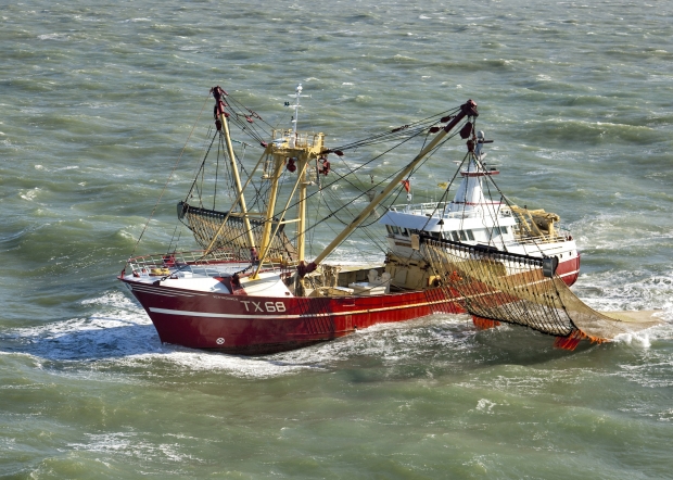 Pêche électrique : BLOOM porte plainte contre les Pays-Bas