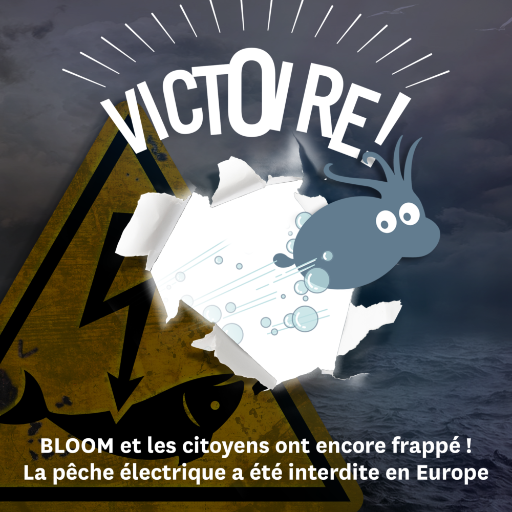 VICTOIRE : la pêche électrique sera interdite en Europe en 2021