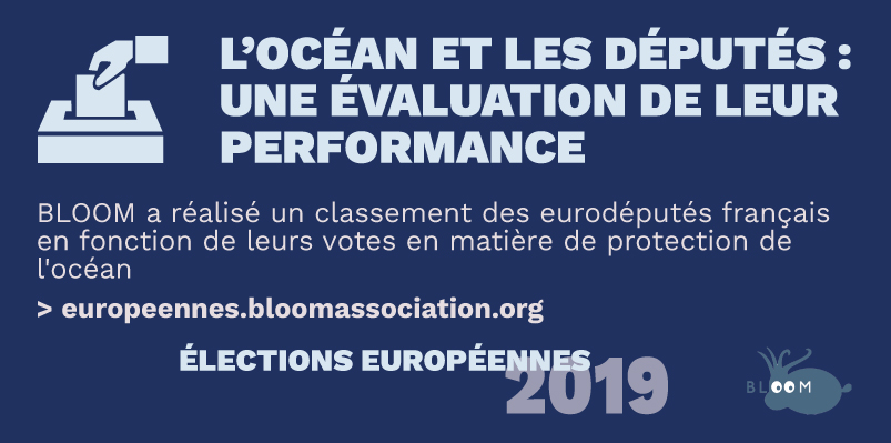 BLOOM lance sa plateforme d’évaluation des eurodéputés