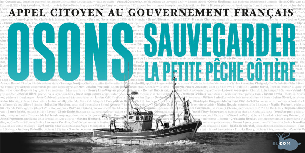 BLOOM et 390 professionnels du secteur de la pêche, Chefs et élus lancent un appel citoyen au gouvernement français pour sauvegarder la petite pêche côtière