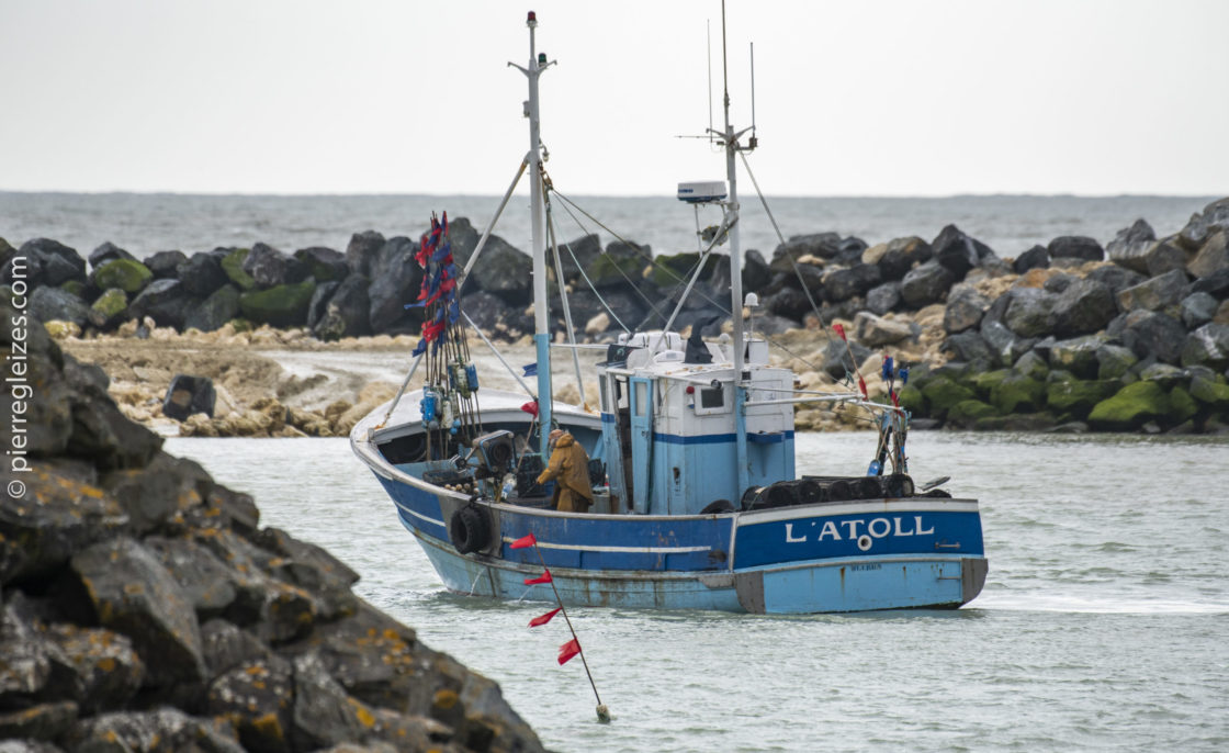 Le secteur de la pêche en France