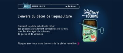 enquête_pêche_minotière_de_la_confiture_aux_cochons