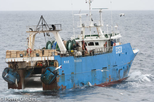 Près de 300 scientifiques internationaux exhortent les gouvernements à mettre fin aux subventions néfastes dans le secteur de la pêche