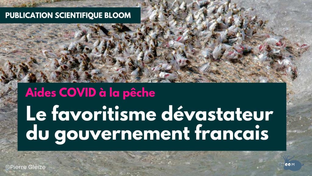 Publication – Analyse des aides COVID à la pêche : le favoritisme dévastateur du gouvernement français